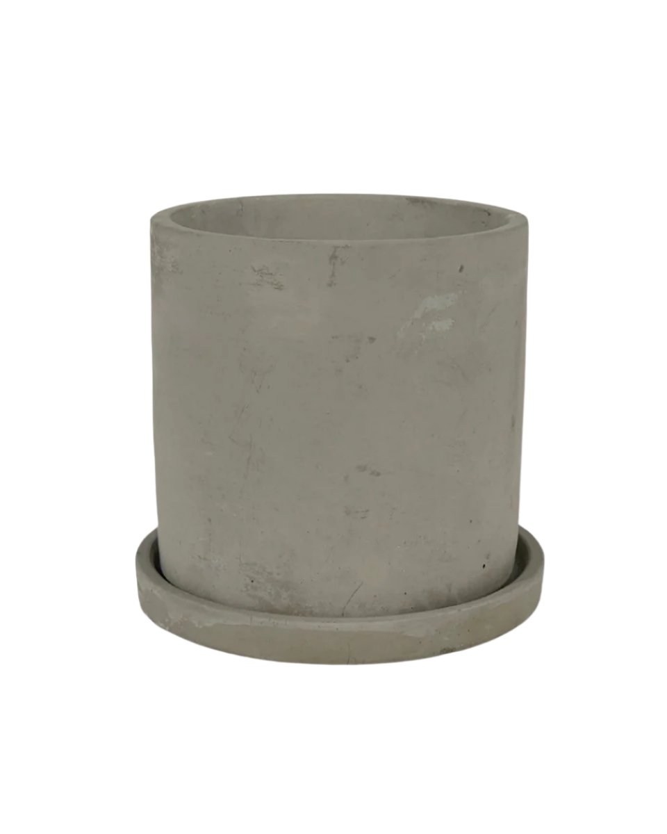 Smoffy Cement Planter - round - Pots - Tumbleweed Plants - Online Plant Delivery Singapore