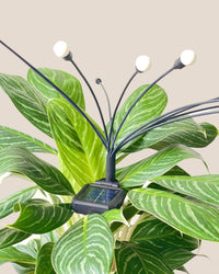 Solar Plant Light - Accessory - Tumbleweed Plants - Online Plant Delivery Singapore