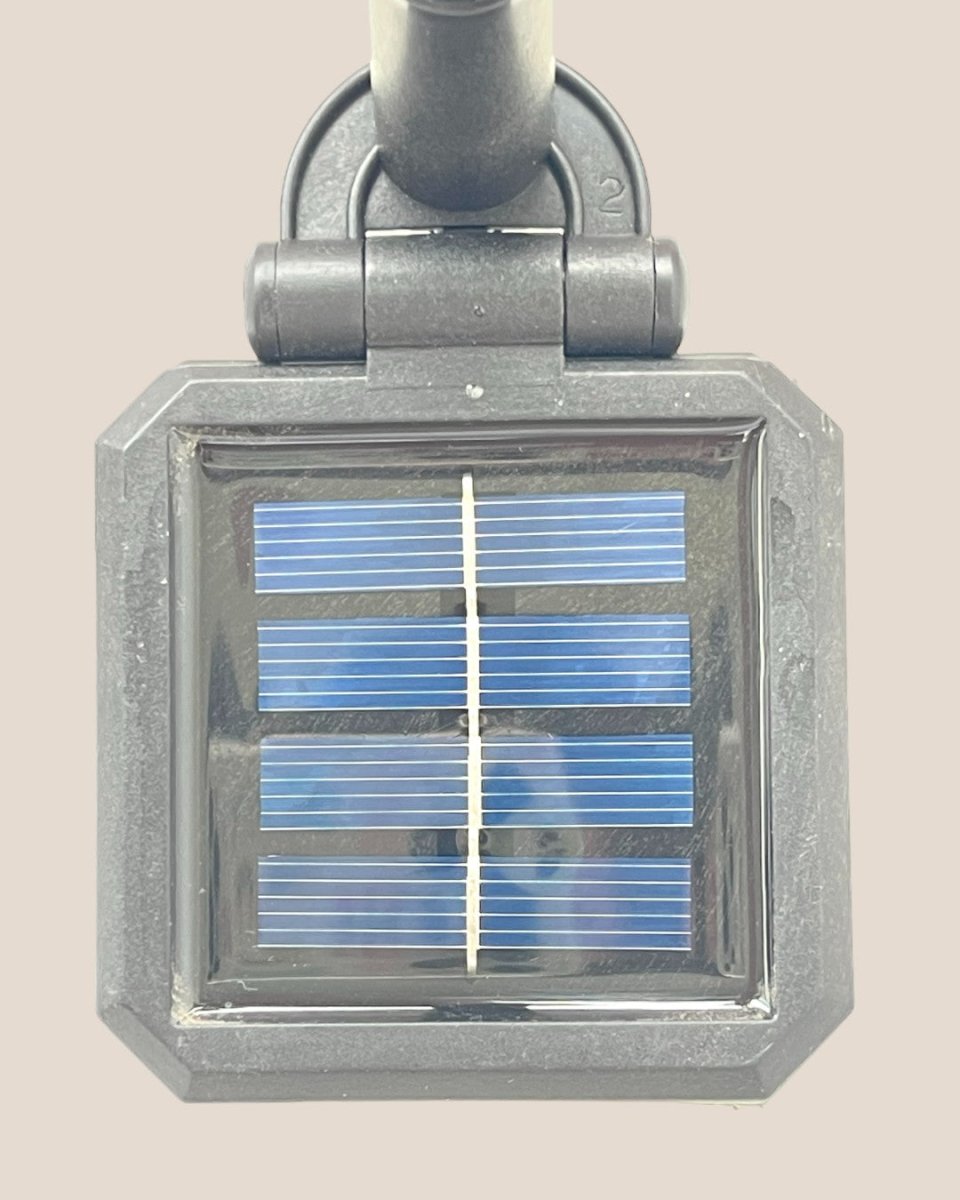Solar Plant Light - Accessory - Tumbleweed Plants - Online Plant Delivery Singapore