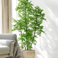 Southern Sky Bamboo (Life-like Artificial)
