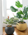 Sphere - HydroEase Pot - Large - Pots - 5555142420474 - Tumbleweed Plants - Online Plant Delivery Singapore