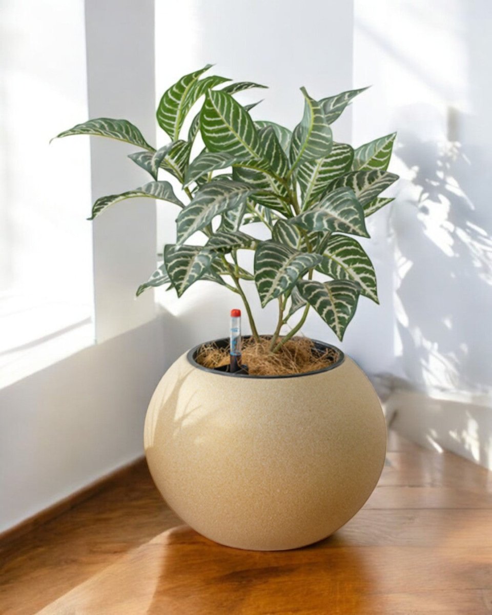 Sphere HydroEase Self Watering Pot - Medium - Pots - 5555142420472 - Tumbleweed Plants - Online Plant Delivery Singapore