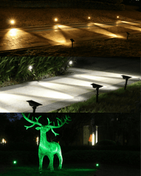 Spire Garden Spike Lights - Garden Lights - 5534278389950 - Tumbleweed Plants - Online Plant Delivery Singapore