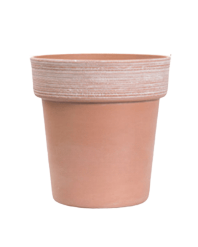 Stria Alto Pots - Large - Planter - 5447230618939 - Tumbleweed Plants - Online Plant Delivery Singapore