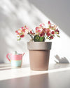 Stria Alto Pots - Medium - Planter - 5447230618937 - Tumbleweed Plants - Online Plant Delivery Singapore