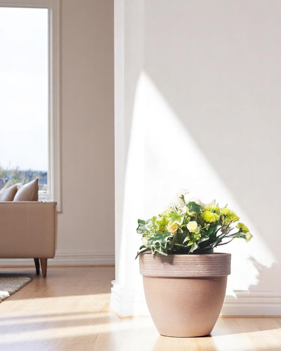 Stria Terralite Pot - Planter - 5636918002940 - Tumbleweed Plants - Online Plant Delivery Singapore