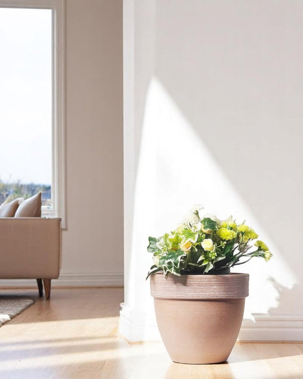 Stria Terralite Pot - Planter - 5636918002940 - Tumbleweed Plants - Online Plant Delivery Singapore