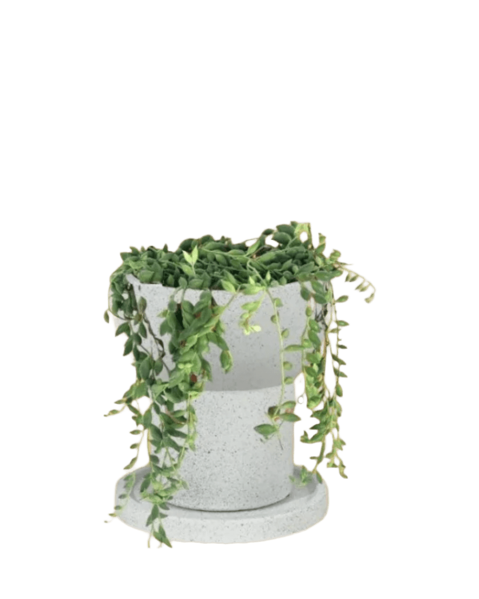 little tower white with tray planter