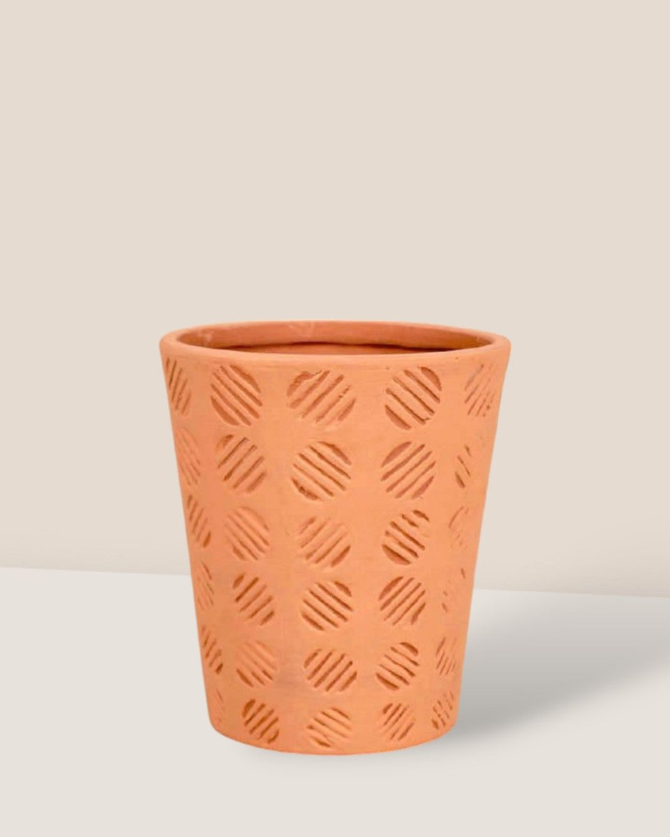 Striped Circle Terracotta Pot - Pots - Tumbleweed Plants - Online Plant Delivery Singapore