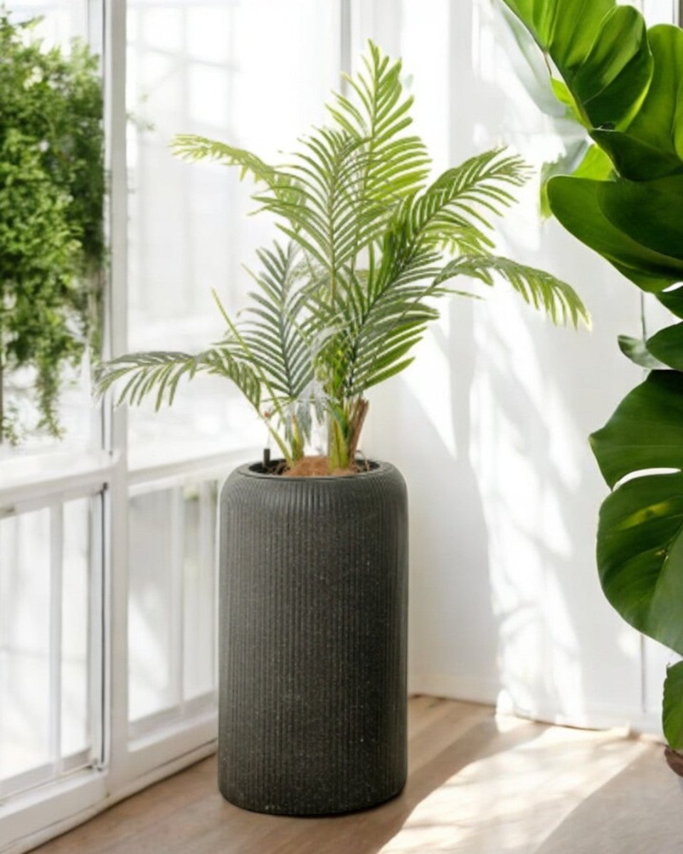 Stripes StoneBlast - HydroEase Pot - XL - Pots - 5708530991950 - Tumbleweed Plants - Online Plant Delivery Singapore