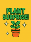 Surprise Plant! - Potted plant - POTT - SURP - 6975 - Tumbleweed Plants - Online Plant Delivery Singapore