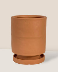 Tall Astra Pot (11.5cm) - brown - Pot - Tumbleweed Plants - Online Plant Delivery Singapore