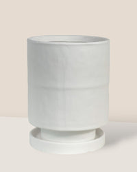 Tall Astra Pot (11.5cm) - white - Pot - Tumbleweed Plants - Online Plant Delivery Singapore