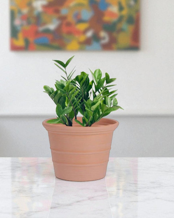 Terra Airstone Pots - Medium - Planter - 5675659245791 - Tumbleweed Plants - Online Plant Delivery Singapore