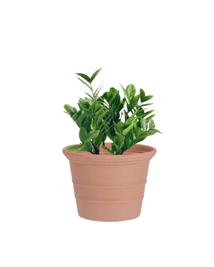 Terra Airstone Pots - Medium - Planter - 5675659245791 - Tumbleweed Plants - Online Plant Delivery Singapore