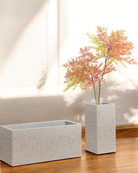 TerraBloc Planter Box - Pots - 5505913413628 - Tumbleweed Plants - Online Plant Delivery Singapore