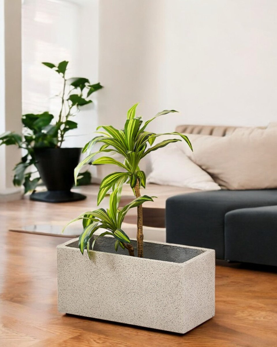 TerraBloc Planter Box - Pots - 5505913413628 - Tumbleweed Plants - Online Plant Delivery Singapore