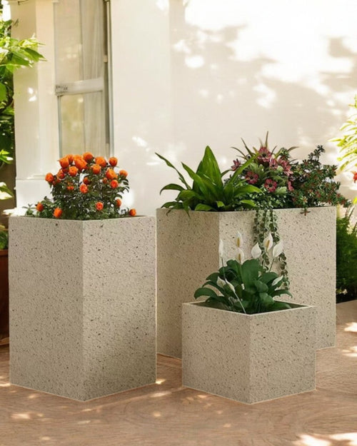 TerraBloc Planter Box - Pots - 5505913413628 - Tumbleweed Plants - Online Plant Delivery Singapore