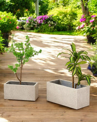 TerraBloc Planter Box - Pots - 5505913413628 - Tumbleweed Plants - Online Plant Delivery Singapore