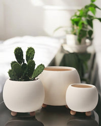 Terracotta Cream Pot with Wooden Legs - Pots - 5563589720943 - Tumbleweed Plants - Online Plant Delivery Singapore