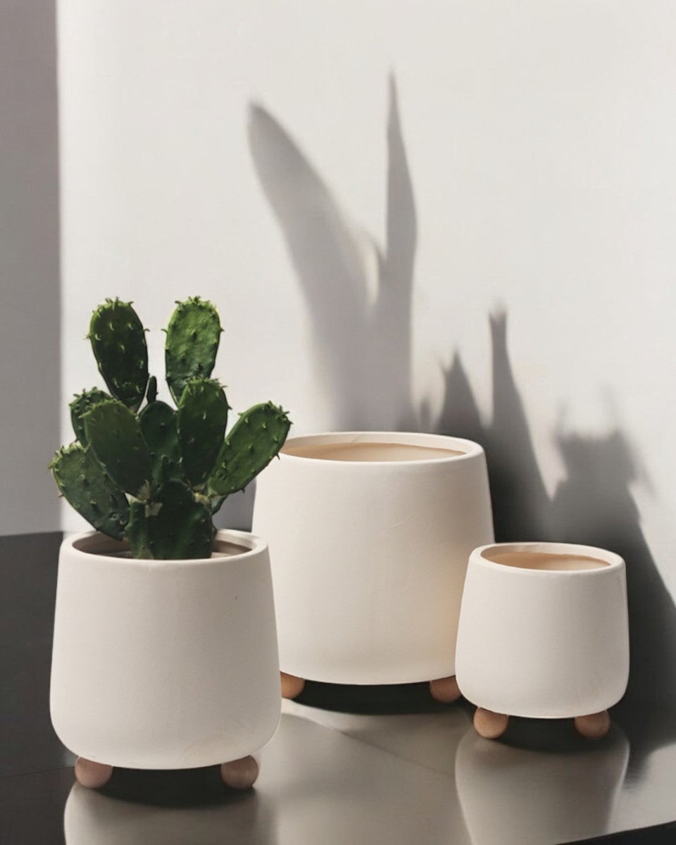 Terracotta Cream Pot with Wooden Legs - Pots - 5563589720943 - Tumbleweed Plants - Online Plant Delivery Singapore