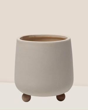 Terracotta Cream Pot with Wooden Legs - Pots - 5563589720943 - Tumbleweed Plants - Online Plant Delivery Singapore