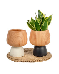 Terracotta Wooden Pot - black - Pot - Tumbleweed Plants - Online Plant Delivery Singapore