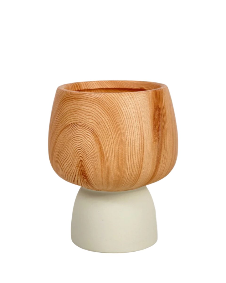 Terracotta Wooden Pot - white - Pots - Tumbleweed Plants - Online Plant Delivery Singapore