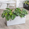 THE BOX - Hydroease Planter Box