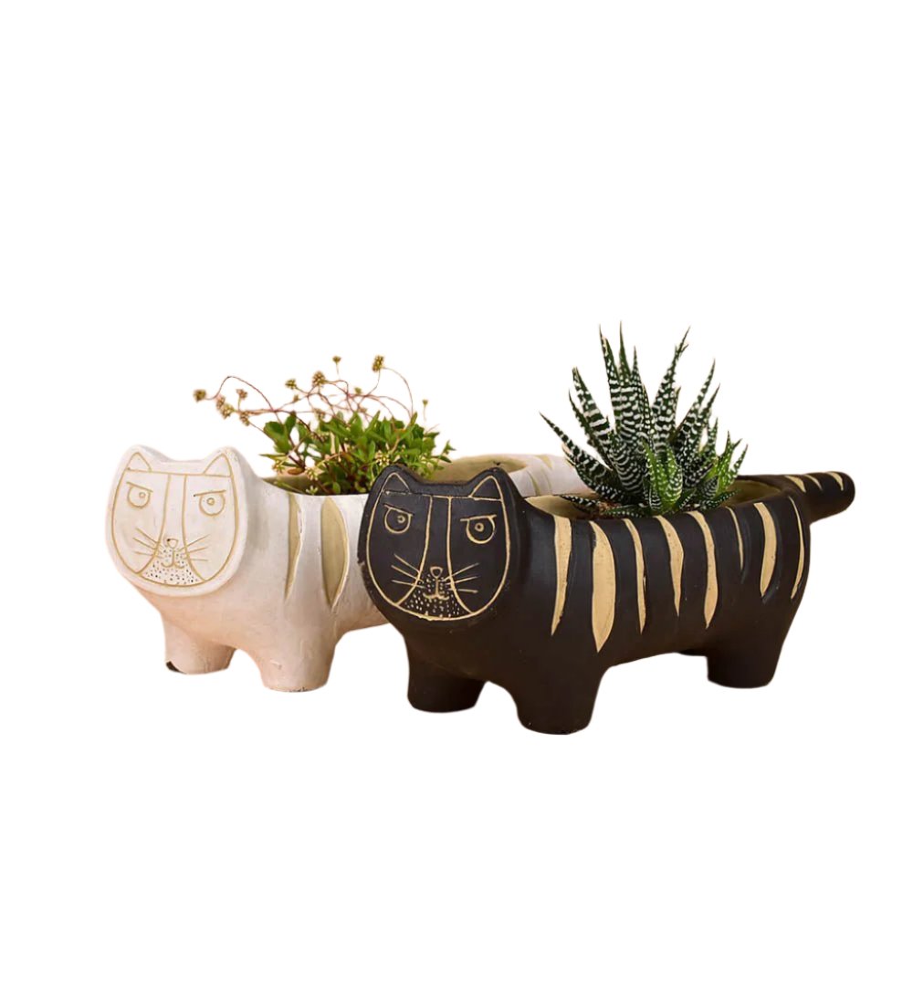 Tiger Planters