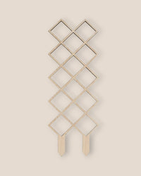 Trellis - B - Plant Stand - Tumbleweed Plants - Online Plant Delivery Singapore