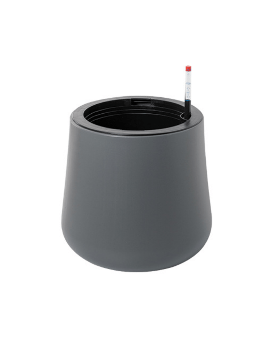 Tulip Pot - HydroEase Planter - XL - Pots - 5507179584566 - Tumbleweed Plants - Online Plant Delivery Singapore