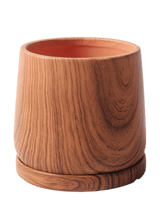 Tulip Wood Pots- Small