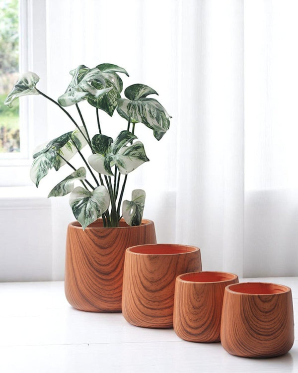 Tulip Wood Pots - Medium - Planter - 4825220809833 - Tumbleweed Plants - Online Plant Delivery Singapore