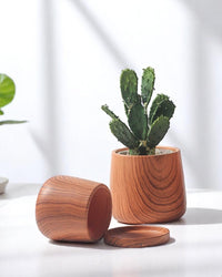 Tulip Wood Pots - Small - Planter - 4825220809835 - Tumbleweed Plants - Online Plant Delivery Singapore