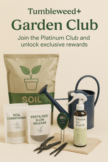 Tumbleweed+ Garden Club - Add Ons - TUMB - 6977 - Tumbleweed Plants - Online Plant Delivery Singapore