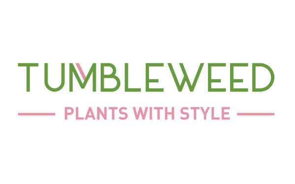 Tumbleweed Plants logo