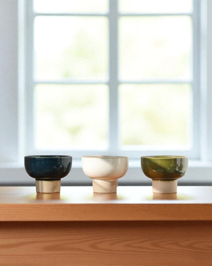 Two - Tone Bowl Pot - Planter - 5366447371355 - Tumbleweed Plants - Online Plant Delivery Singapore