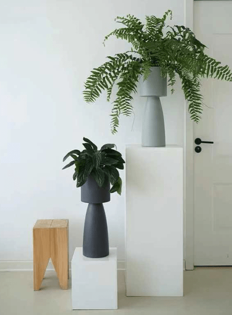 Vault Tall Planter - Planter - 4754535109639 - Tumbleweed Plants - Online Plant Delivery Singapore