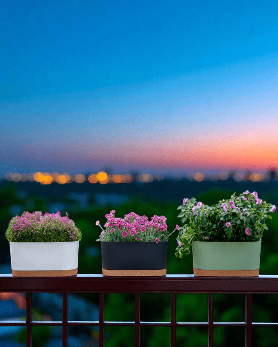 Verdant Rectangle Planter - Planter - 5280961920711 - Tumbleweed Plants - Online Plant Delivery Singapore