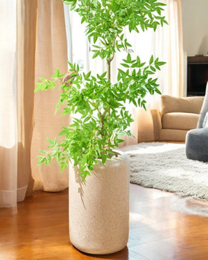 Verto Tall Planter - Pots - 5201049929328 - Tumbleweed Plants - Online Plant Delivery Singapore