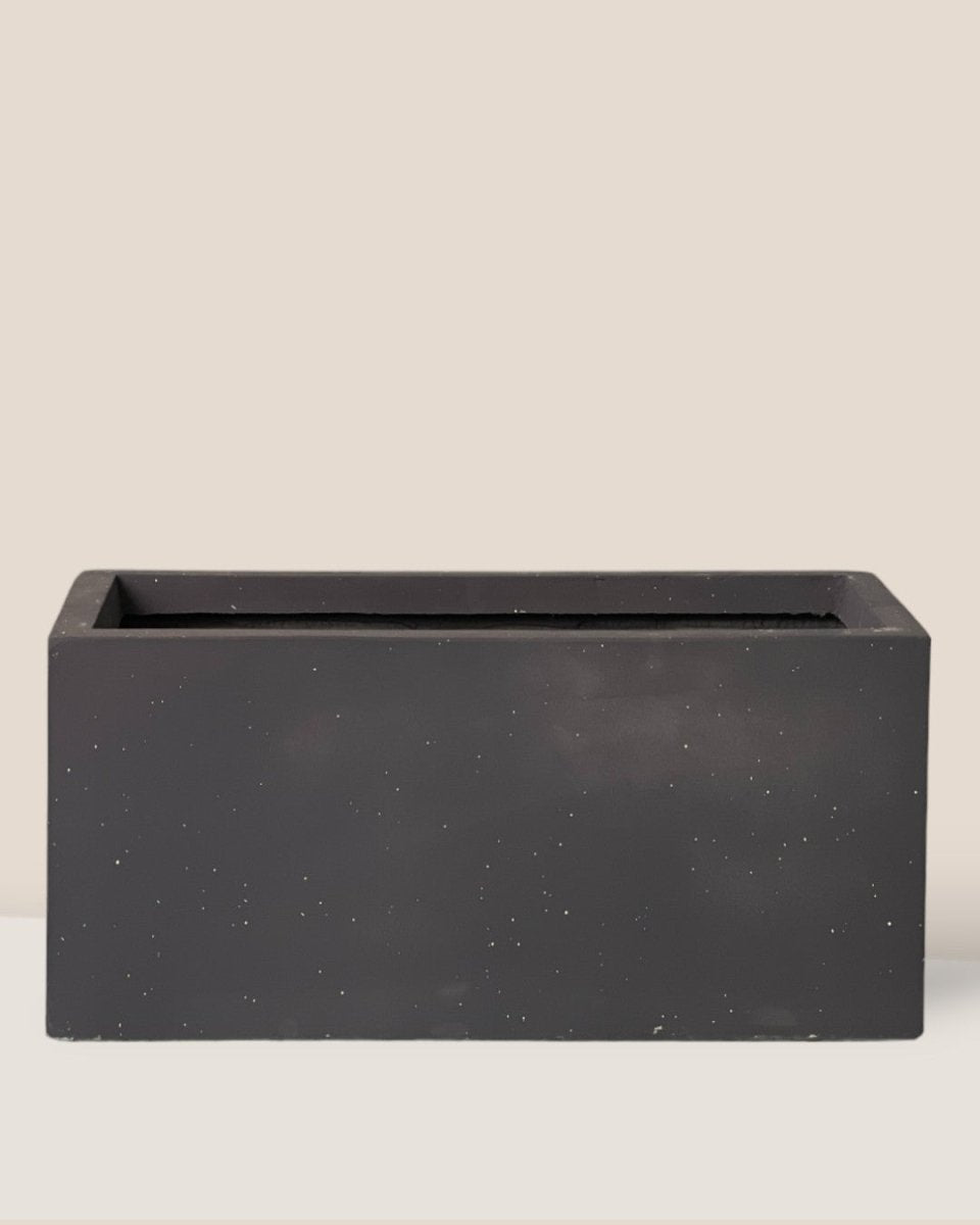 Vina Planter Box - grey - Pot - Tumbleweed Plants - Online Plant Delivery Singapore