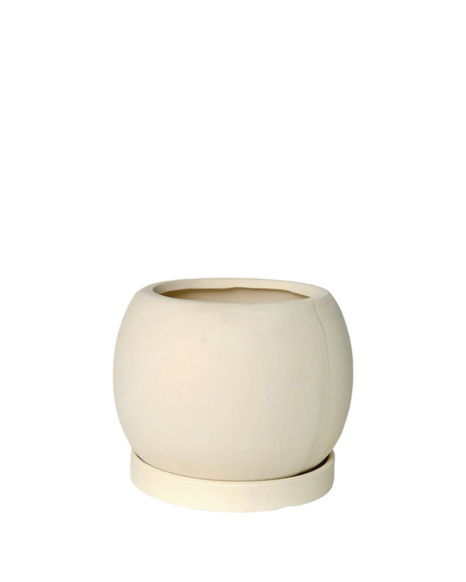 White Flour Planter - round - Pots - Tumbleweed Plants - Online Plant Delivery Singapore