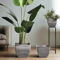 XL Airstone Cube Pots - Pots - 4441234545936 - Tumbleweed Plants - Online Plant Delivery Singapore