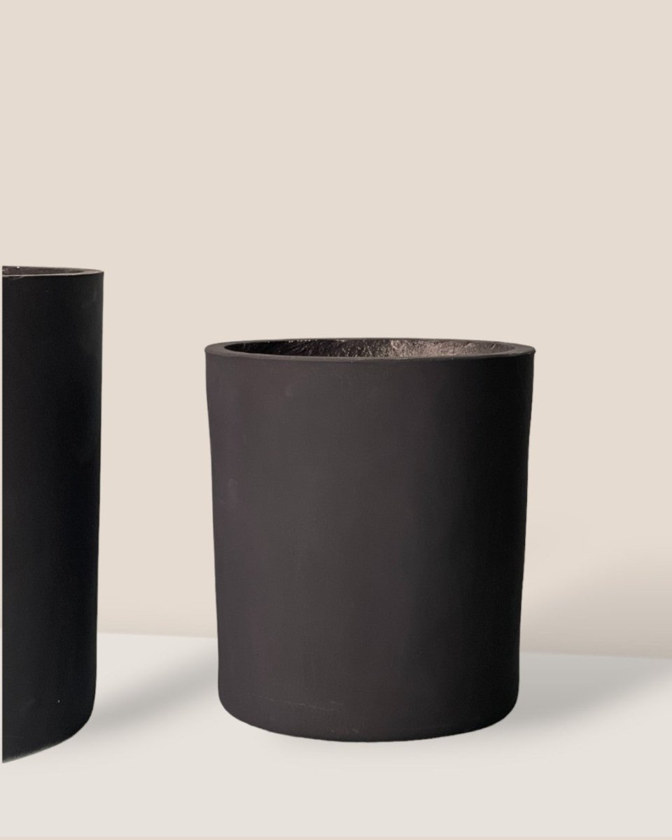 XL Aurora Clay Pot - black - Pot - Tumbleweed Plants - Online Plant Delivery Singapore