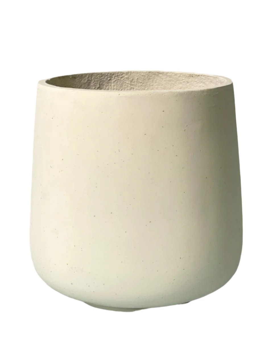 XL Luna Cylinder Pot - plain - Pots - Tumbleweed Plants - Online Plant Delivery Singapore