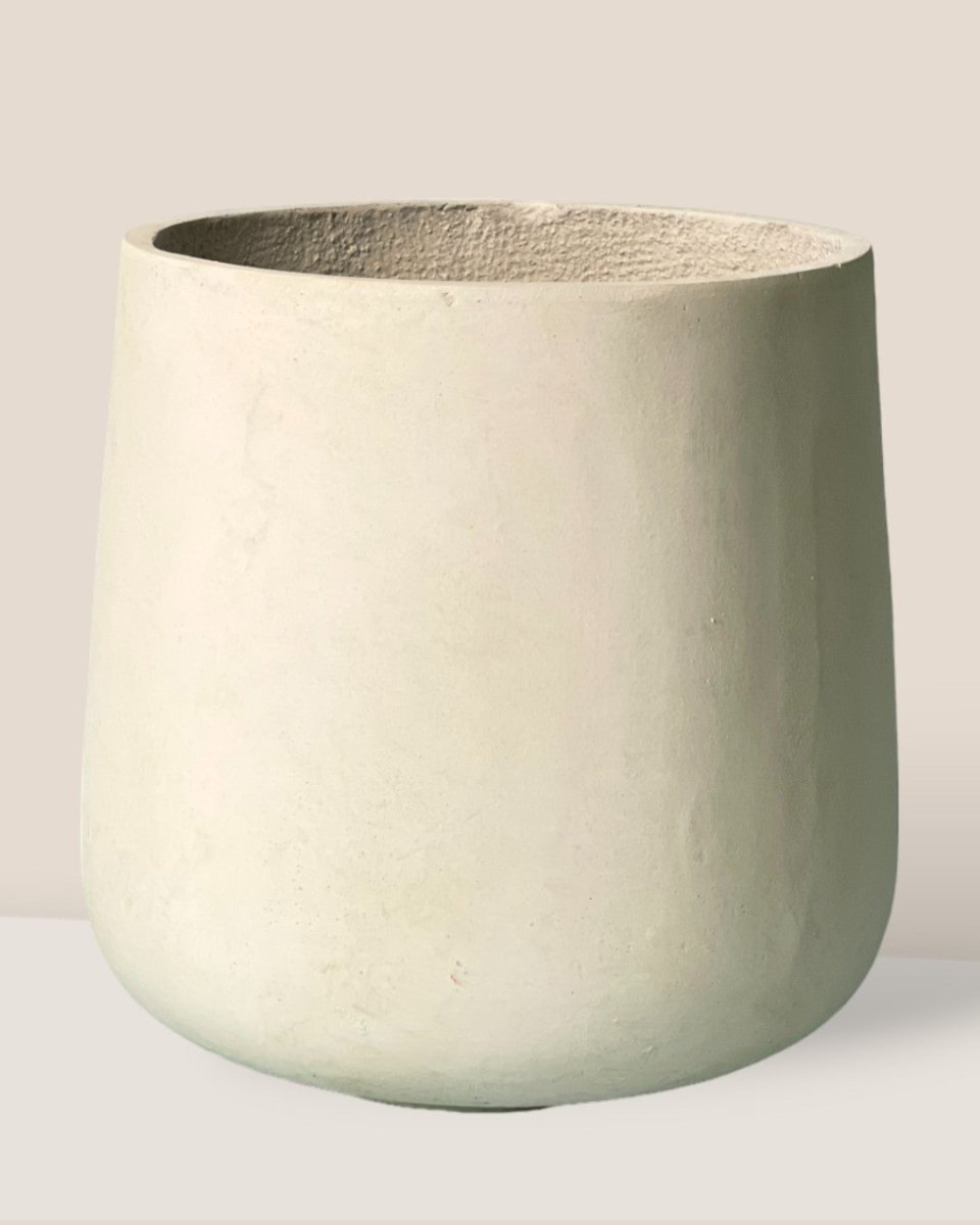 XL Luna Cylinder Pot - terracotta dots - Pot - Tumbleweed Plants - Online Plant Delivery Singapore