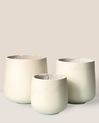 XL Luna Cylinder Pot - terracotta dots - Pot - Tumbleweed Plants - Online Plant Delivery Singapore