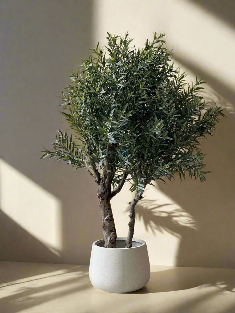 XL Olive Tree Centerpiece - Real - Trunk Artificial - Potted plant - 5516314535781 - Tumbleweed Plants - Online Plant Delivery Singapore