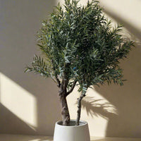 XL Olive Tree Centerpiece - Real-Trunk Artificial